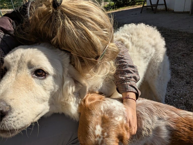 Intensive training days with Josephine Cyr in Martina Franca – Italy