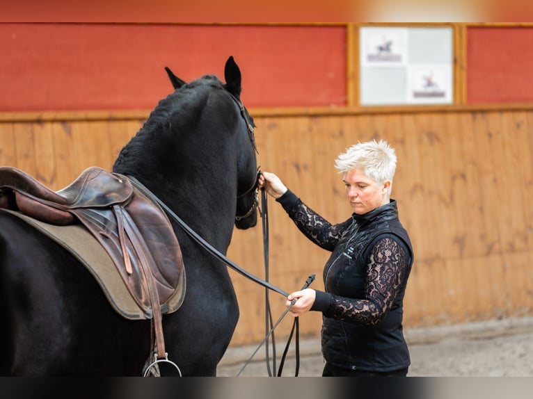 Intensive training days with Josephine Cyr in Martina Franca – Italy