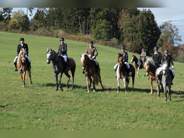 Macht Euch Fit für Jagd