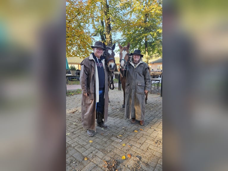 Riding excursions for young and old