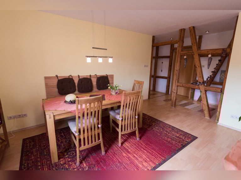 Spanish Horses PRE Breeding in the South Harz