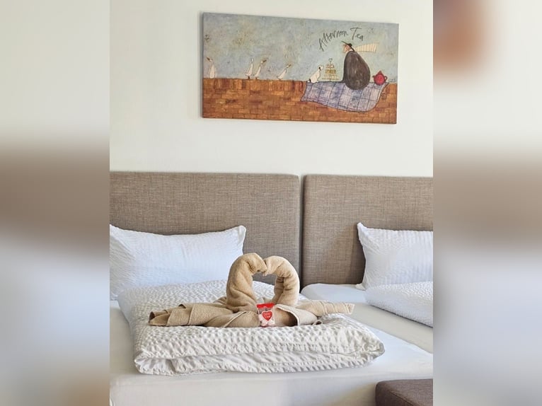 Urlaub mit Deinem eigenen Pferd