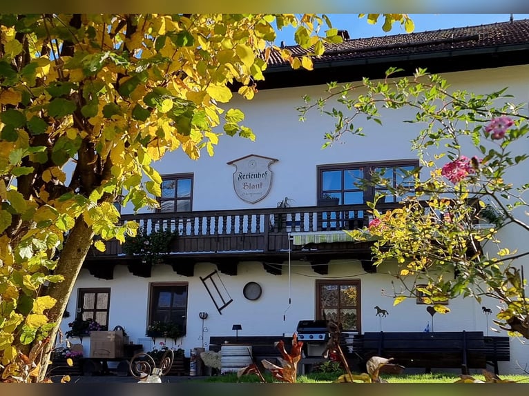 Urlaub mit Deinem eigenen Pferd