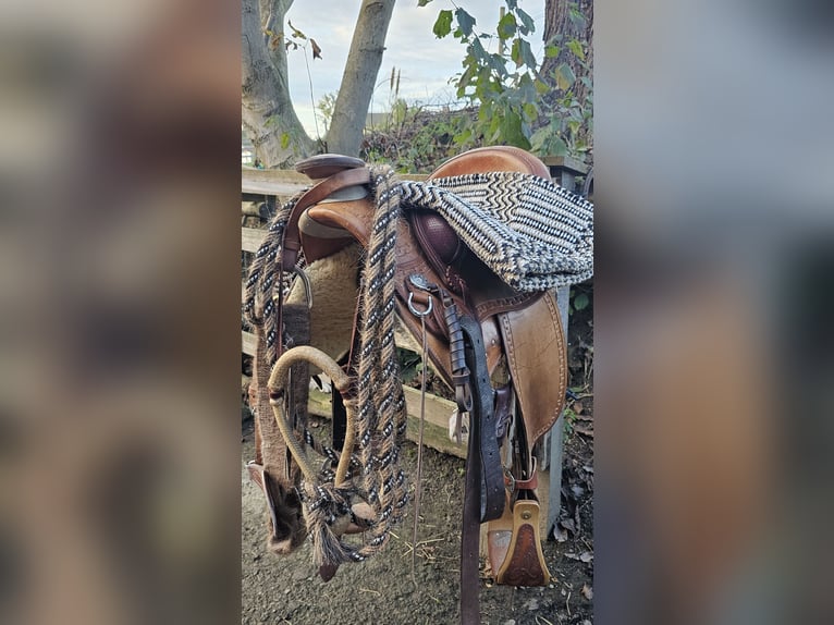 Urlaub mit Deinem eigenen Pferd