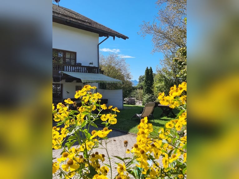 Urlaub mit Deinem eigenen Pferd