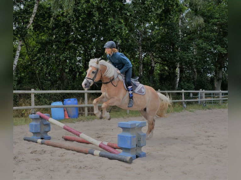 Children's riding holidays during the summer break – unforgettable vacation at the riding stables!