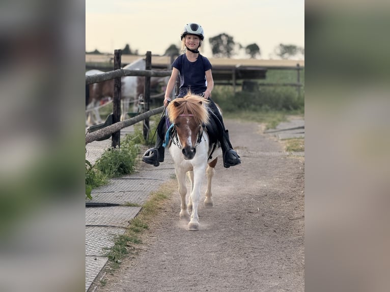 Holiday at the Pony Farm – Horseback Riding