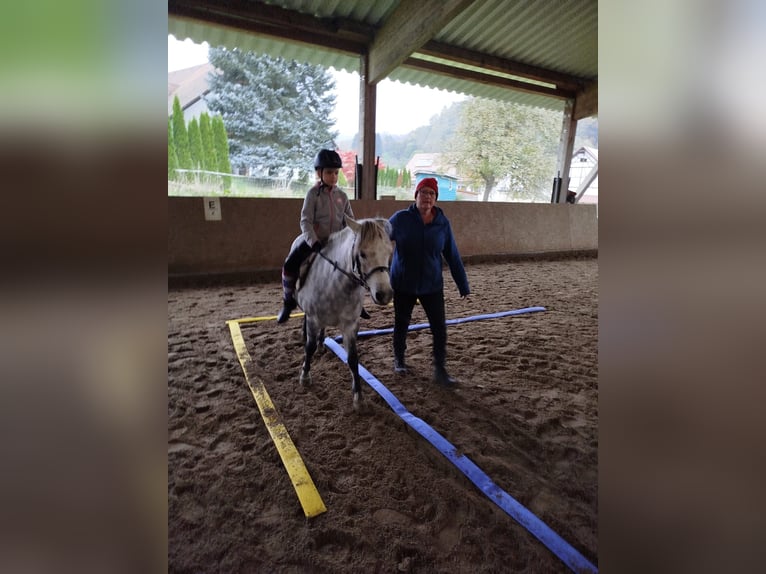 Horse riding holidays and riding courses in the Valley of Love (Lake Constance)