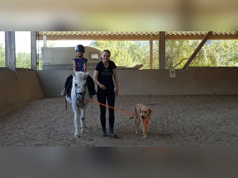 Horse riding holidays and riding courses in the Valley of Love (Lake Constance)