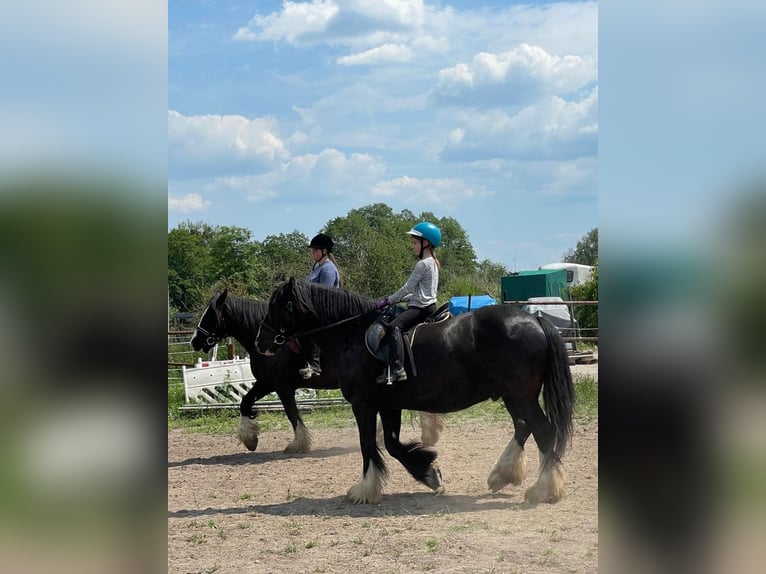 Horse riding holidays at the riding stable 🐎