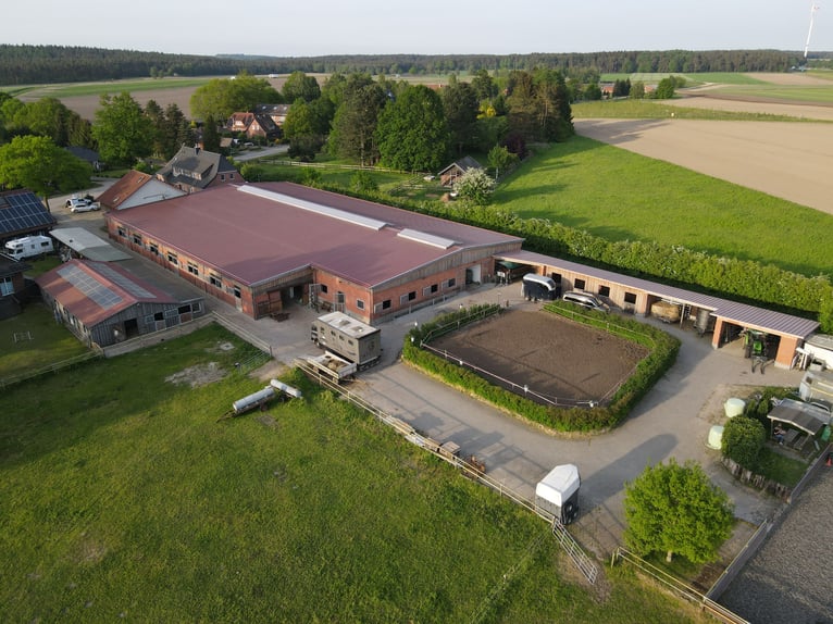 Horse riding holidays for children in the Lüneburg Heath