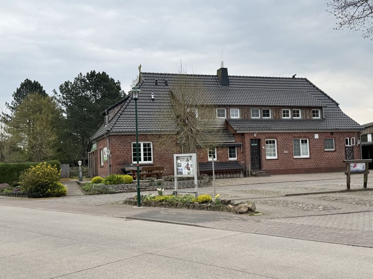 Horse riding holidays for children in the Lüneburg Heath