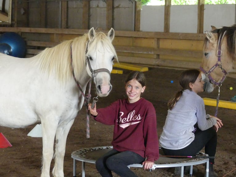 🐣 LAST MINUTE: Your own horse for the Easter holidays! 🐴