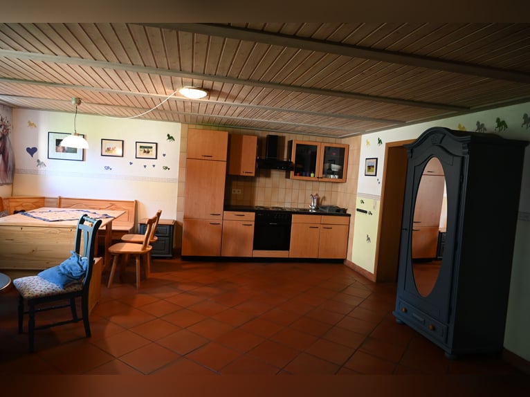 Unforgettable riding holidays at the pony stud farm