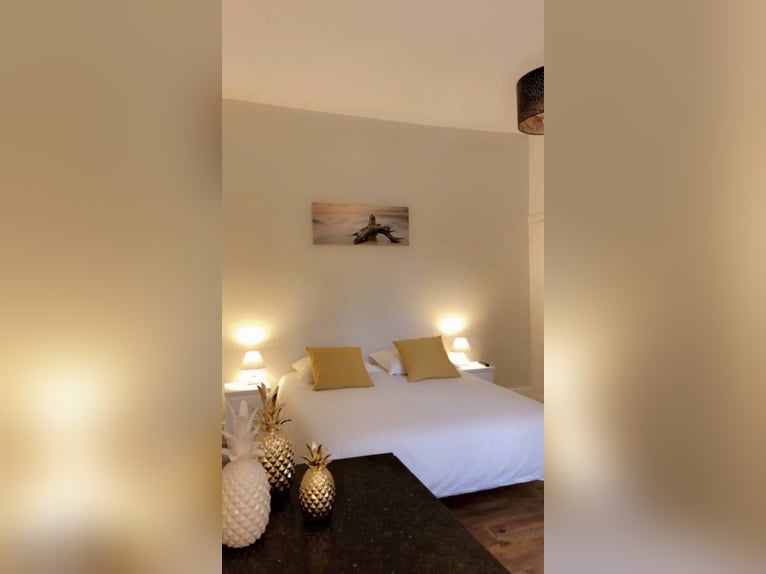 5-star equestrian cottages, horse boxes & arena in the heart of Sologne