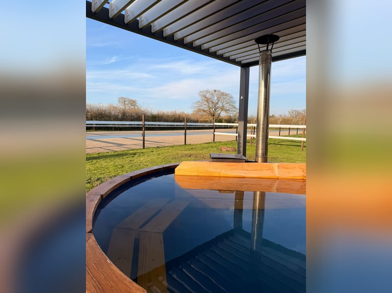 Family adventure at the heart of a stud farm – nature, horses, and well-being