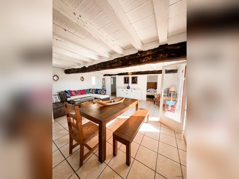 Family adventure at the heart of a stud farm – nature, horses, and well-being