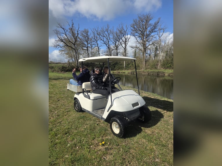 Family adventure at the heart of a stud farm – nature, horses, and well-being
