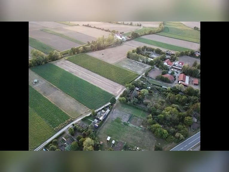 "Pit stop" for horse transportation over long distances" Between Frankfurt and Nuremberg.