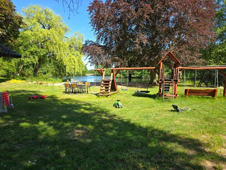 Neue Ferienwohnungen direkt am Wasser mit tollen Reitgelände - auch mit Gastboxen