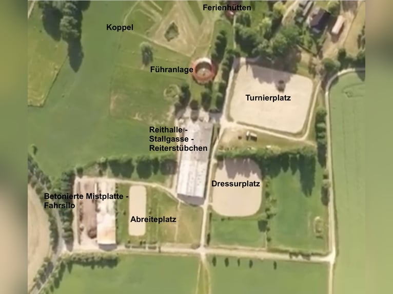 15 hectares of equestrian facility near the Baltic Sea – subdivided paddocks