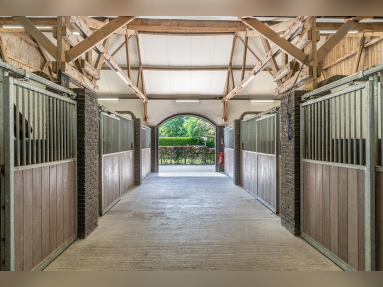 A beautiful, fully equipped equestrian facility located in a fantastic location