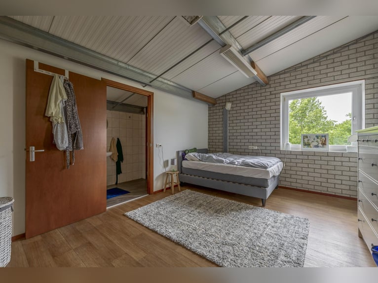 A complete equestrian facility with plenty of opportunities for the (semi)professional horse lover!