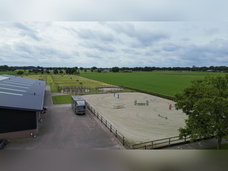 A complete equestrian facility with plenty of opportunities for the (semi)professional horse lover!