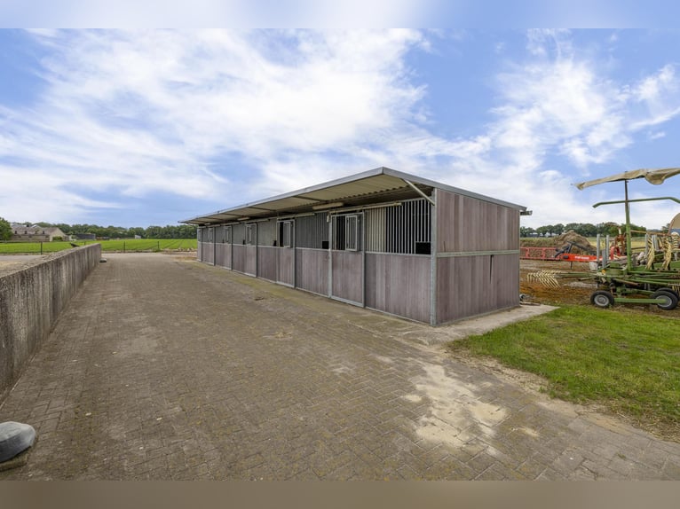 A complete equestrian facility with plenty of opportunities for the (semi)professional horse lover!