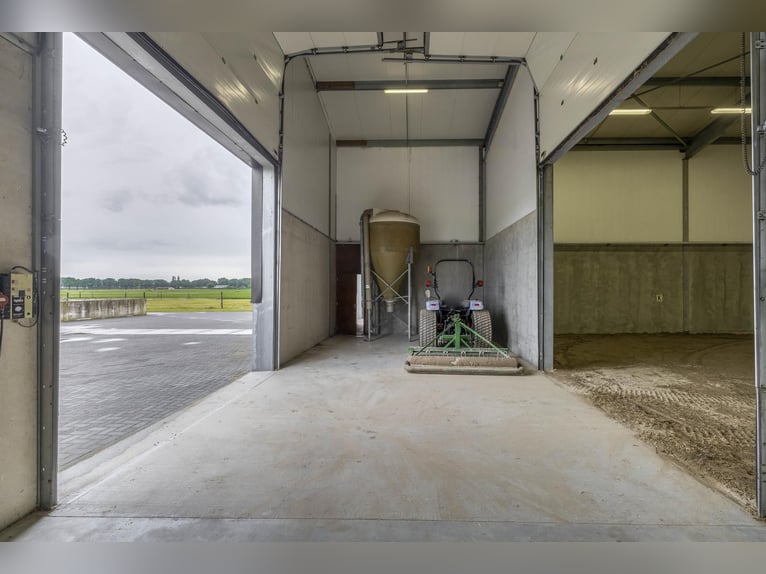 A complete equestrian facility with plenty of opportunities for the (semi)professional horse lover!