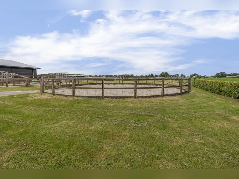 A complete equestrian facility with plenty of opportunities for the (semi)professional horse lover!