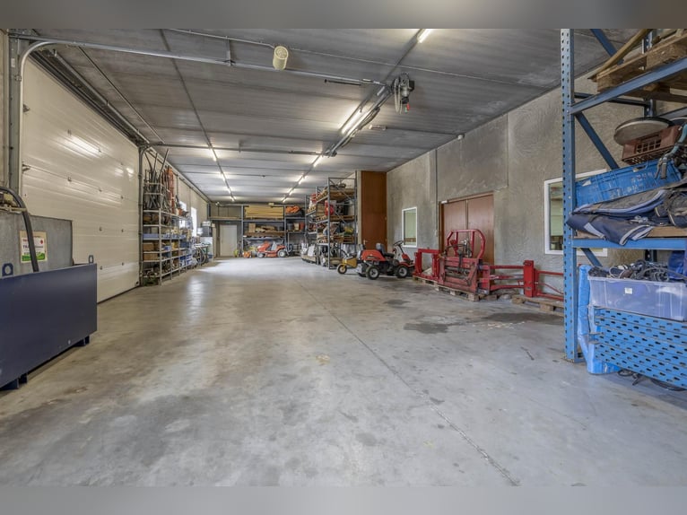 A complete equestrian facility with plenty of opportunities for the (semi)professional horse lover!