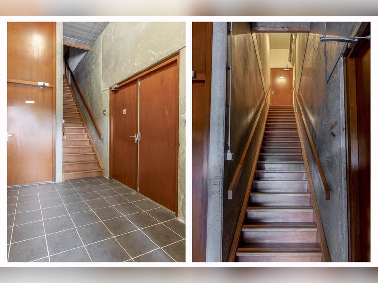 A complete equestrian facility with plenty of opportunities for the (semi)professional horse lover!