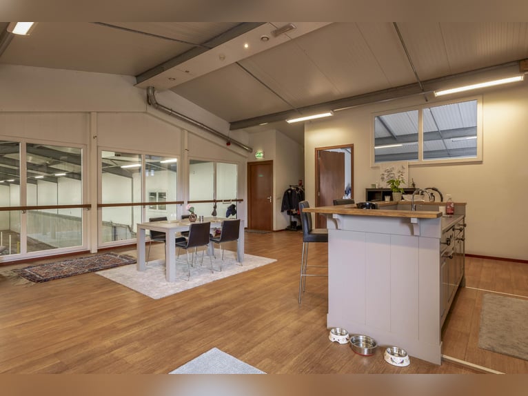 A complete equestrian facility with plenty of opportunities for the (semi)professional horse lover!