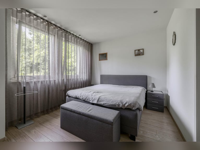 A complete equestrian facility with plenty of opportunities for the (semi)professional horse lover!