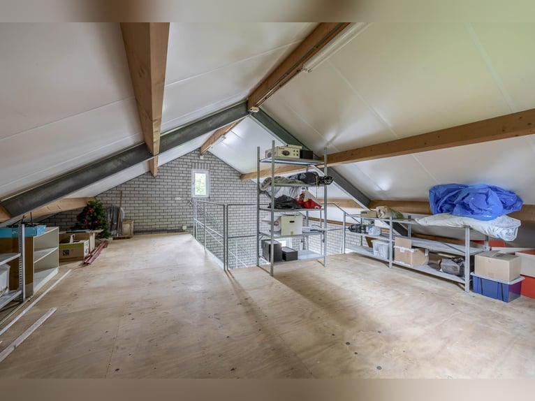 A complete equestrian facility with plenty of opportunities for the (semi)professional horse lover!