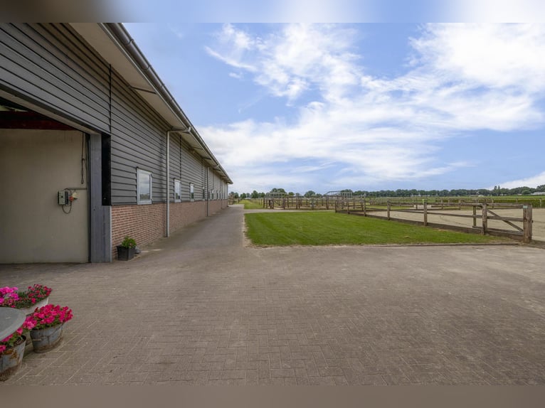 A complete equestrian facility with plenty of opportunities for the (semi)professional horse lover!