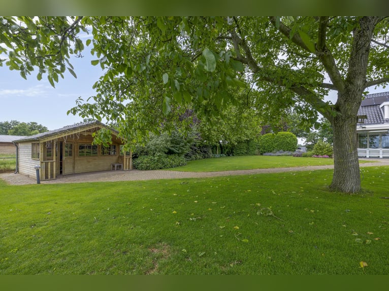 A complete equestrian facility with plenty of opportunities for the (semi)professional horse lover!