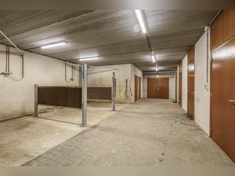 A complete equestrian facility with plenty of opportunities for the (semi)professional horse lover!
