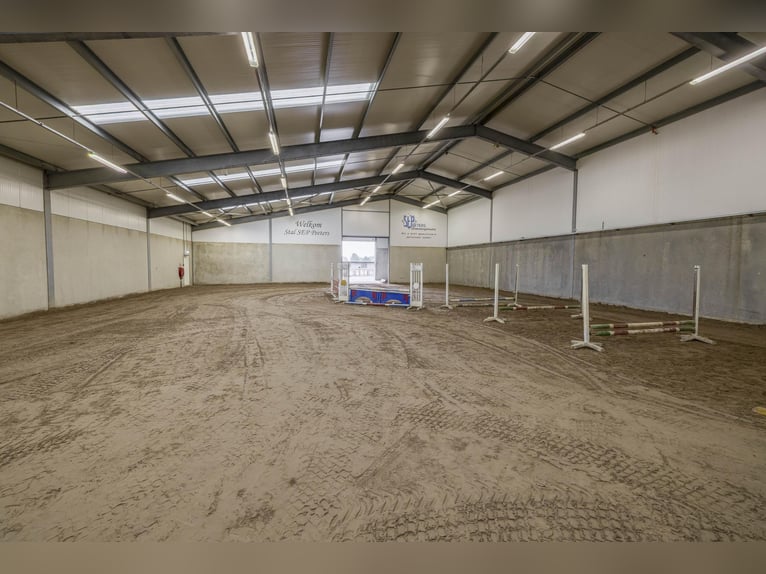 A complete equestrian facility with plenty of opportunities for the (semi)professional horse lover!