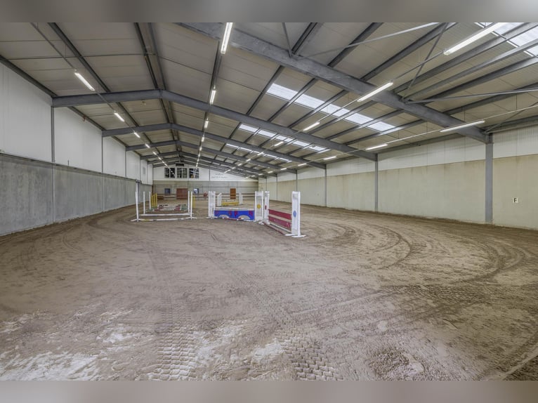 A complete equestrian facility with plenty of opportunities for the (semi)professional horse lover!