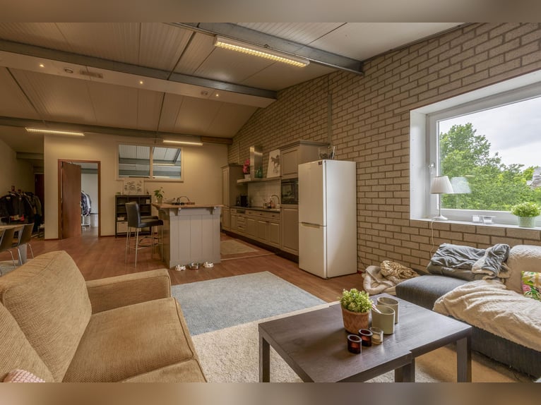 A complete equestrian facility with plenty of opportunities for the (semi)professional horse lover!