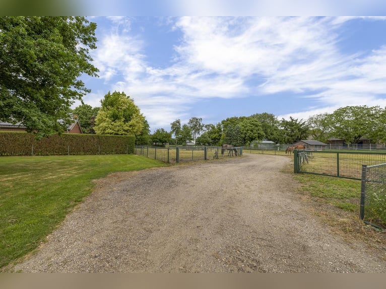 A complete equestrian facility with plenty of opportunities for the (semi)professional horse lover!