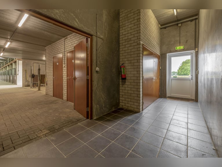 A complete equestrian facility with plenty of opportunities for the (semi)professional horse lover!