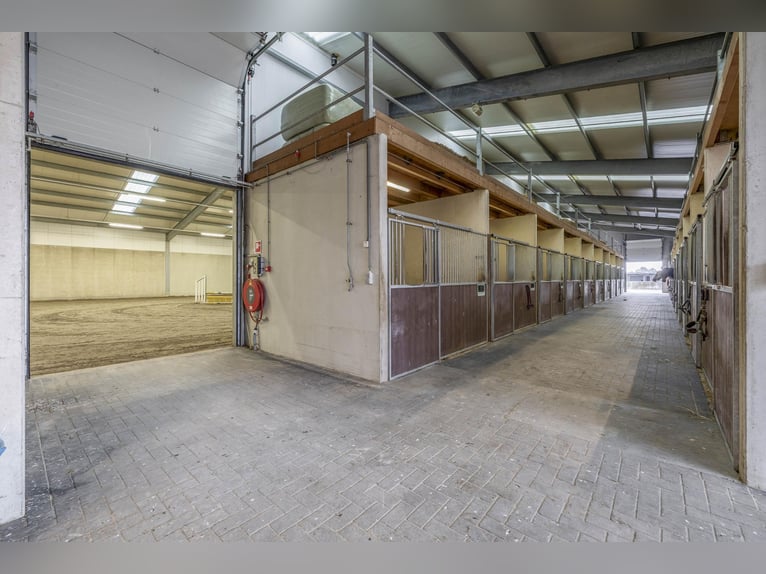 A complete equestrian facility with plenty of opportunities for the (semi)professional horse lover!