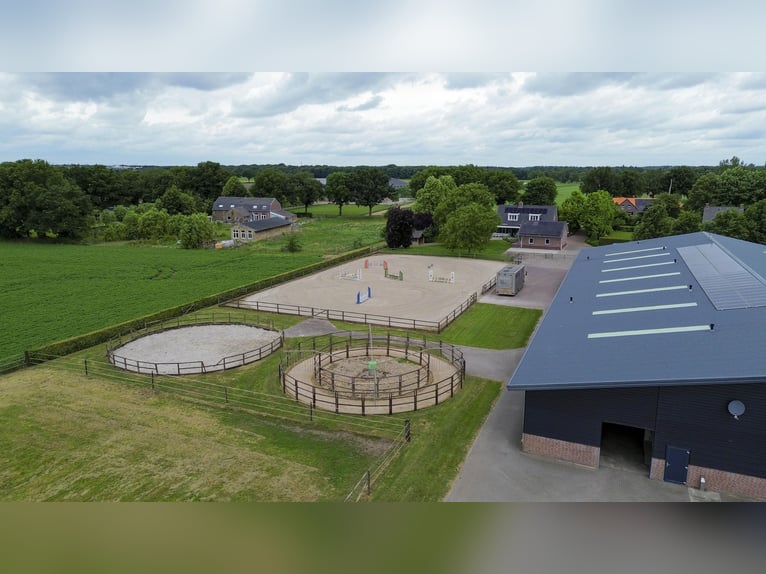 A complete equestrian facility with plenty of opportunities for the (semi)professional horse lover!