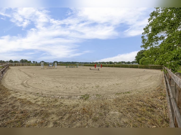 A complete equestrian facility with plenty of opportunities for the (semi)professional horse lover!