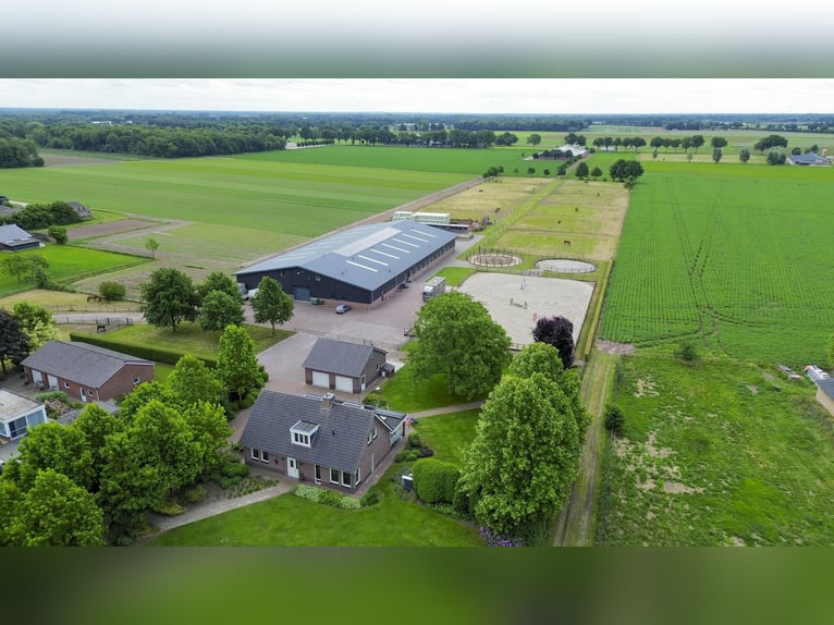 A complete equestrian facility with plenty of opportunities for the (semi)professional horse lover!
