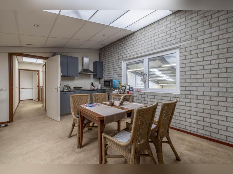 A complete equestrian facility with plenty of opportunities for the (semi)professional horse lover!