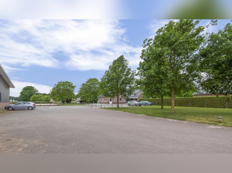 A complete equestrian facility with plenty of opportunities for the (semi)professional horse lover!